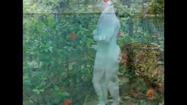 Если отпуск,то Гуам смотреть онлайн