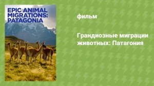Грандиозные миграции животных: Патагония (документальный фильм, 2023)