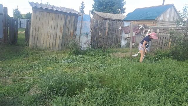 Прополка картошки. Поспела жимолость. Косим траву. Огородные дела. смотреть онлайн