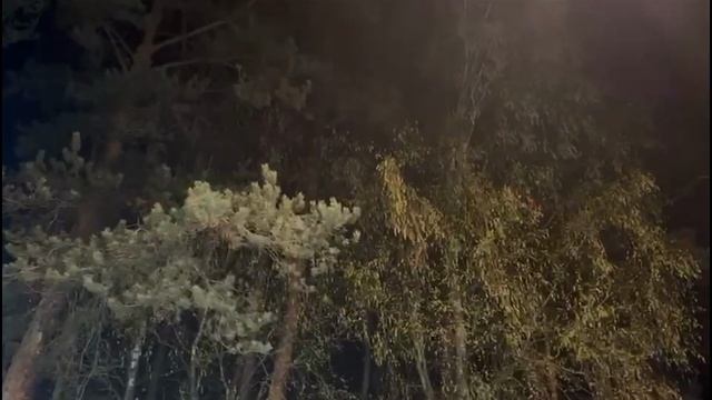 ВСЯ ЖИЗНЬ ВО ИМЯ ЛЮДЕЙ ..Инга Хосроева, Ведьмина изба. смотреть онлайн