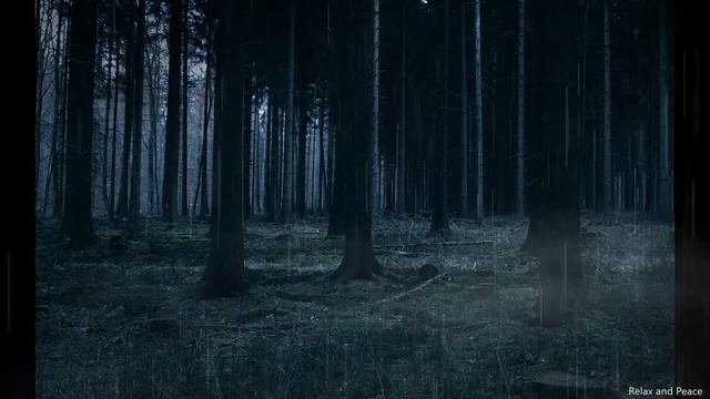 Dense forest rain sound | Dark Forest Rain | insomnia | Peaceful sleep | Satisfying смотреть онлайн