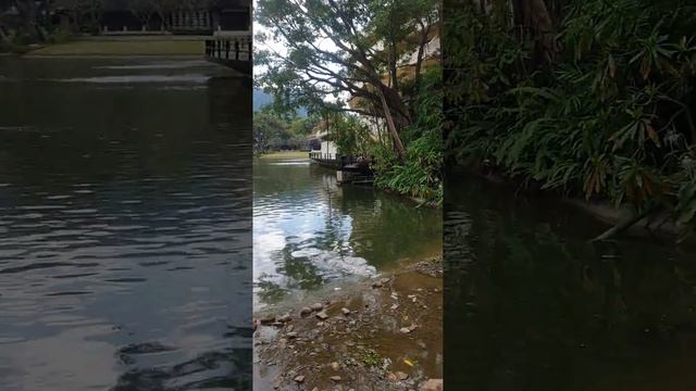 Отель Хилтон Пхукет. декабрь 2022. смотреть онлайн