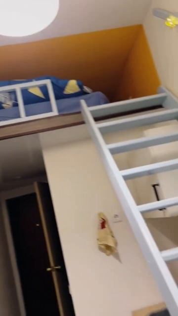 Апартаменты 14кв.м в центре Санкт-Петербурга #этопитердетка #дизайнинтерьера #старыйфонд смотреть онлайн