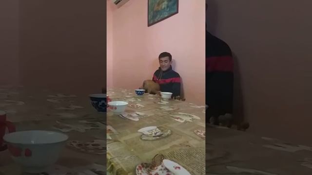 Казахстан Аккустав чайхана смотреть онлайн