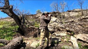 Сан Саныч в деле. Академик Чибилёв