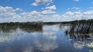 Сплав по реке Меза Костромская область 2024