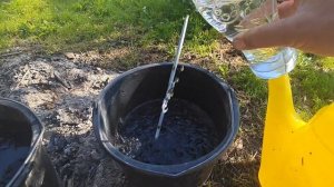 Зола+уксус=от вершинной гнили у томатов,от хлороза растений.Лучшее летне-осеннее удобрение.