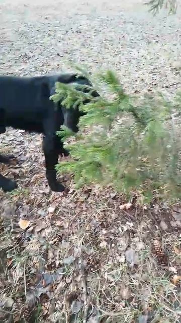 Наконец пришла весна!