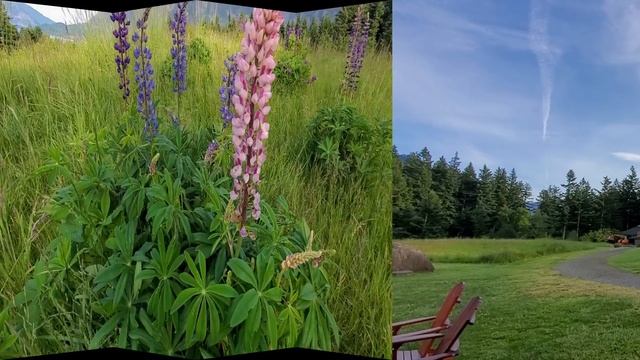 Путешествие по Америке - прекрасный курорт! смотреть онлайн