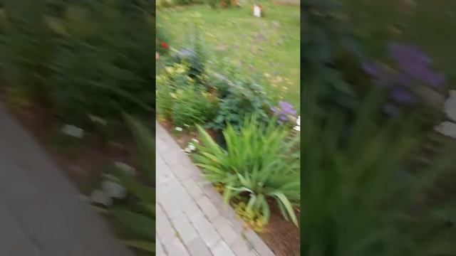 Все, что меня окружает. Рассказывает мисс Маша смотреть онлайн