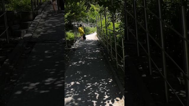 Зелёный Гай (подъем) 2023 👍 смотреть онлайн