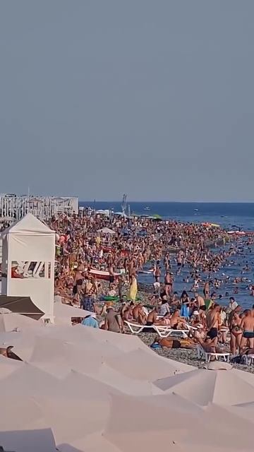 Сочи, пляжи 2022 смотреть онлайн