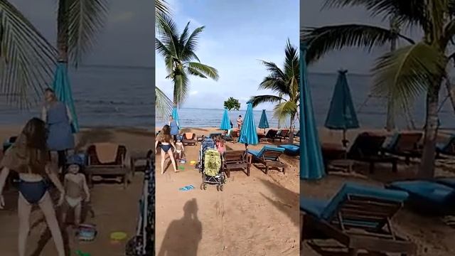 Наш пляж Пинакл Гранд Джомтьен