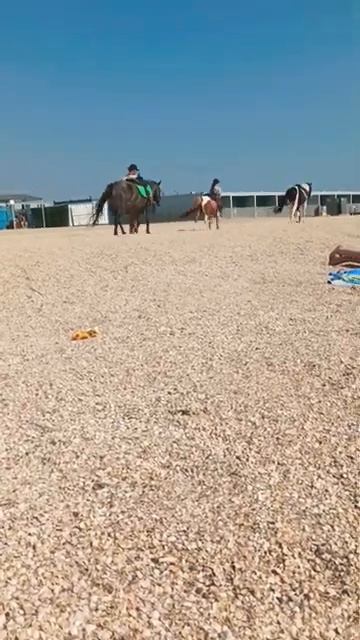 Берег Косы Долгой)