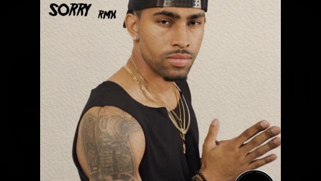 Alovich - Punanny (Justin Bieber Sorry Dancehall/Reggae Remix) смотреть онлайн