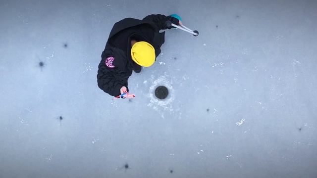 Рыбалка с чемпионами смотреть онлайн