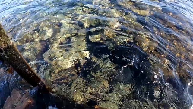 Amwaj Oyoun Resort & Casino 4* жақсы бюджетный отель.