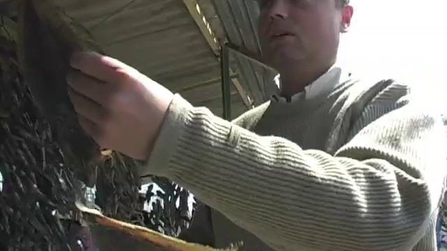 Гаряче джерело на Азовському морі 2 смотреть онлайн