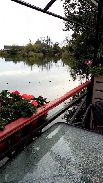 Озеро Дивное. Лазаревское. 31.10.23г. смотреть онлайн