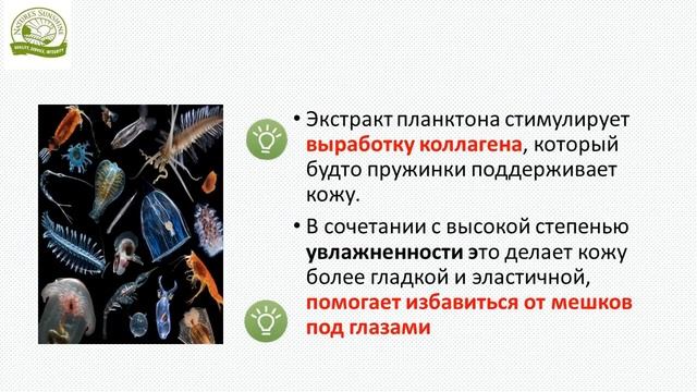 Крем вокруг глаз. Почему именно BREMANI CARE!