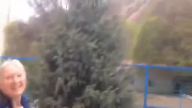 3 марта 2017 г. смотреть онлайн