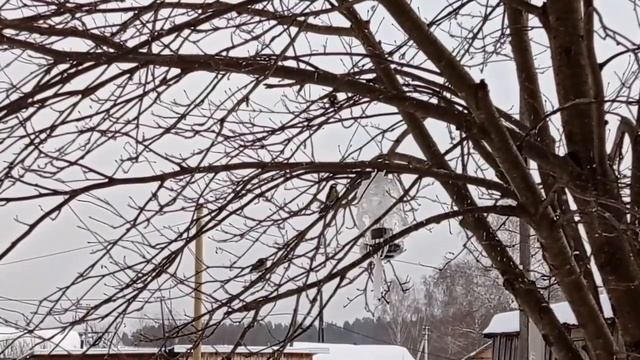 Птичья столовая смотреть онлайн