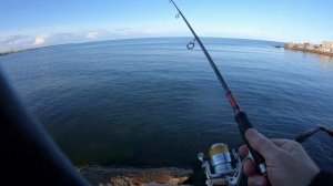 Черное Море Ловим на Булер