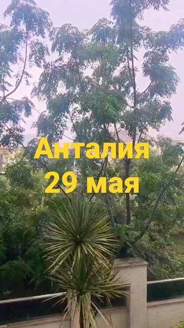 ПРОЛИВНОЙ ДОЖДЬ ОБРУШИЛСЯ НА АНТАЛИЙСКИЕ КУРОРТЫ. смотреть онлайн
