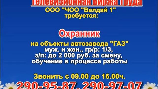 7 июня_13.15_РАБОТА В НИЖНЕМ НОВГОРОДЕ_Телевизионная Биржа Труда смотреть онлайн