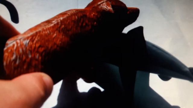 Grizzly Bear Vs Great White Shark