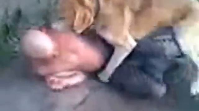 Народ встаёт с колен смотреть онлайн