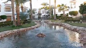 Наш отель «Dive inn Resort****».2 часть.