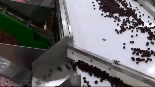 Вишня Сербия