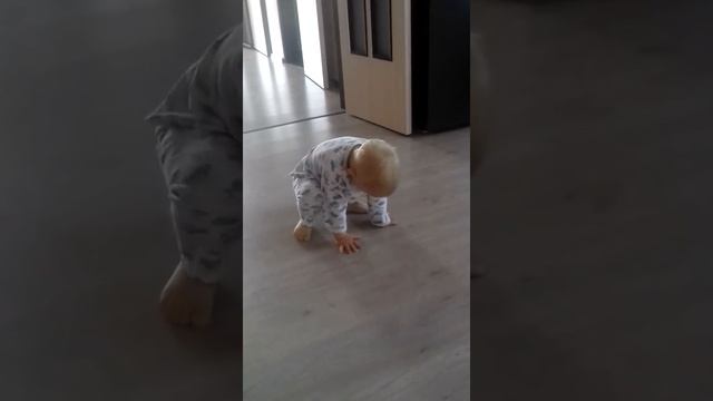 Мой братик смотреть онлайн