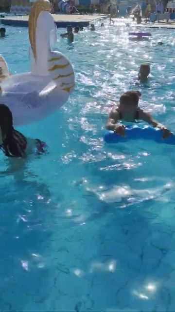 Купание под открытым небом в бассейне отеля Sunrise Garden Beach, Хургада, Египет. Февраль 2022 смотреть онлайн