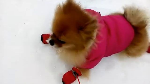 Здесь вам не курорт, понимаете ли... смотреть онлайн