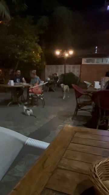 Часть 10. Грузия это вкусно! #грузия #тбилиси смотреть онлайн