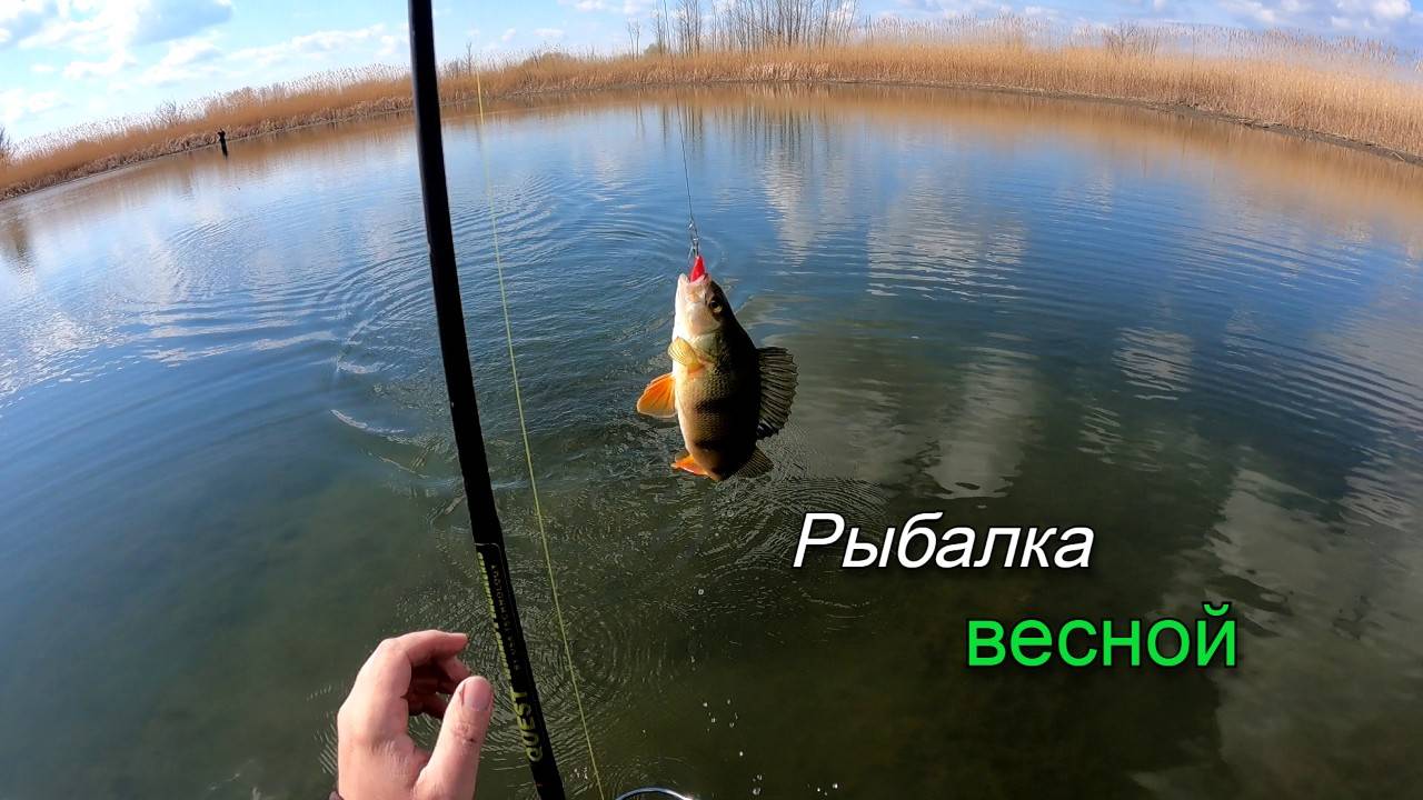 Рыбалка весной на щуку. Ловля щуки на водоемах Волго-Ахтубинской поймы смотреть онлайн