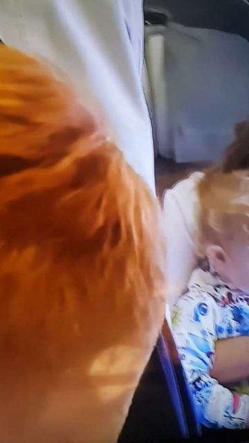 Канал Лена и Ваня.2019г.май.Аэропорт Шереметьево.Москва смотреть онлайн