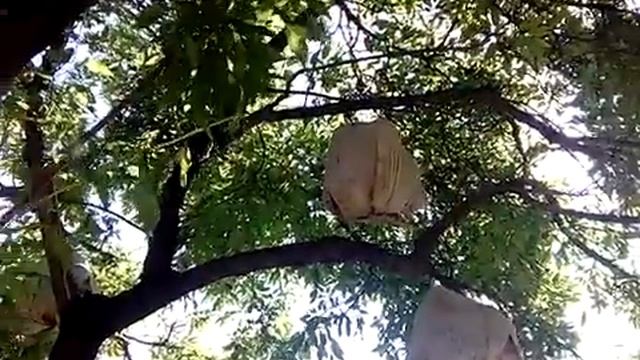 Хистеварз смотреть онлайн