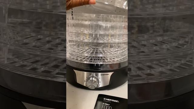 HOW TO GROW A LEMON TREE PART 3. #gardening #gardeningtips #lemontree