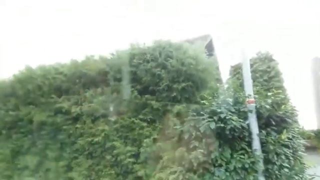Дорога домой и к маме! смотреть онлайн