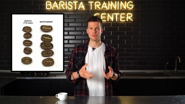 Разоблачаем мифы о кофе, в которые все верят. Часть 2. смотреть онлайн