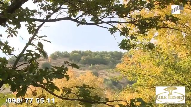 Активный отдых в "Park Resort Aghveran" смотреть онлайн