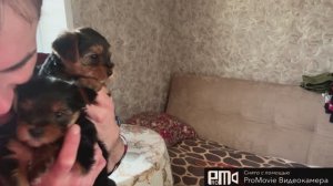 !Всё для мужа❤️💃🇷🇺