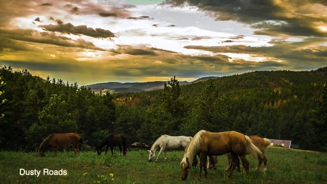I love horses - Country music, Background Music, Sounds of the wind. смотреть онлайн