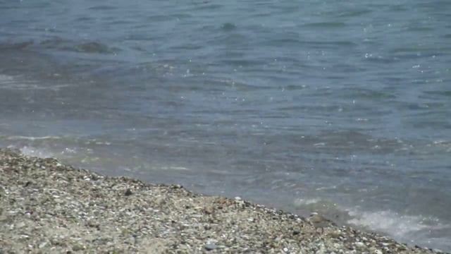 Джулая Морнинг, Кара дере 2012 - Зеленият Отбор -15 смотреть онлайн