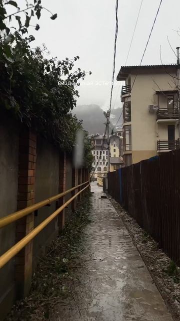 VLOG СОЧИ #обзор #блог #влог #рекомендации #тренды #локация #отдых #краснаяполяна #розахутор #сочи смотреть онлайн