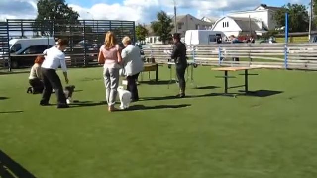 Mimi Dog Doll Tanuki ( Пуховая ) смотреть онлайн