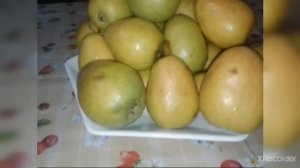 Груши-выращенные в своем саду☺